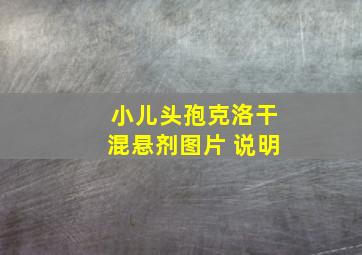 小儿头孢克洛干混悬剂图片 说明